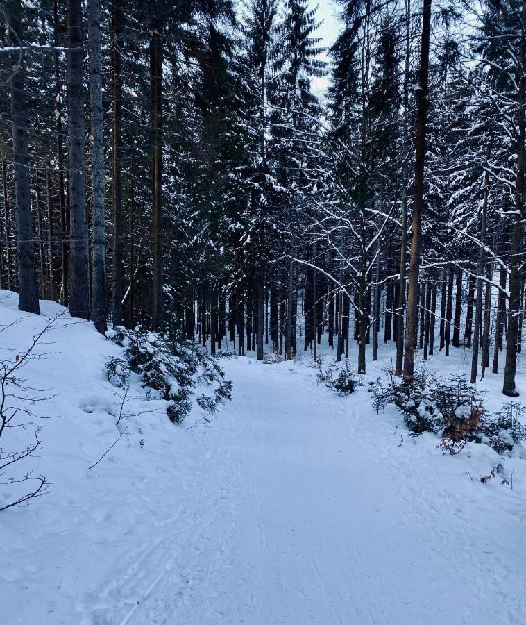 Apartmany Panorama Harrachov Zewnętrze zdjęcie